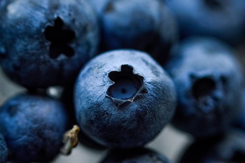 Forest Berries Tart