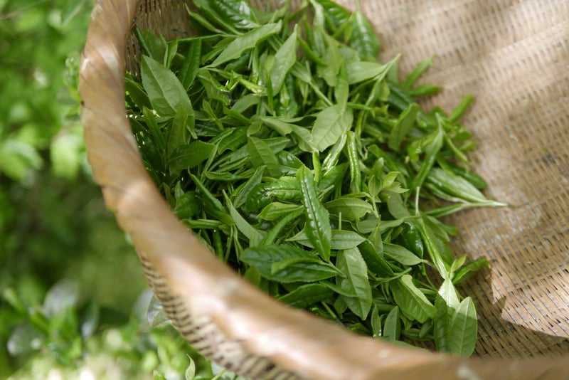 Herbal Tea Blends