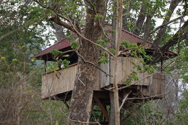 Rustic Treehouse Venue